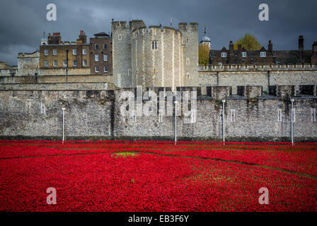 Blut Mehrfrequenzdarstellung Länder und Meere von Red Kunstinstallation an der Tower of London. 888.246 Keramik Mohnblumen in den Turm Graben gepflanzt. Stockfoto