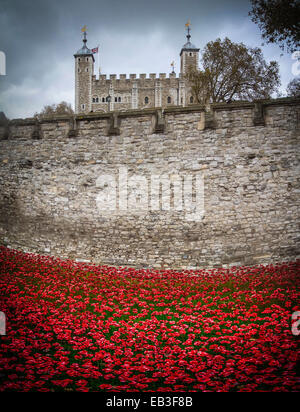 Blut Mehrfrequenzdarstellung Länder und Meere von Red Kunstinstallation an der Tower of London. 888.246 Keramik Mohnblumen in den Turm Graben gepflanzt. Stockfoto