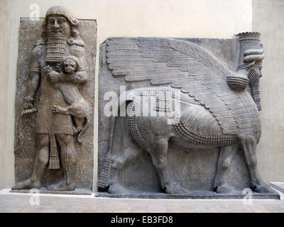 Persischen geflügelten Stier (5. Jh. v. Chr.) auf dem Display im Louvre, Paris, Frankreich Stockfoto