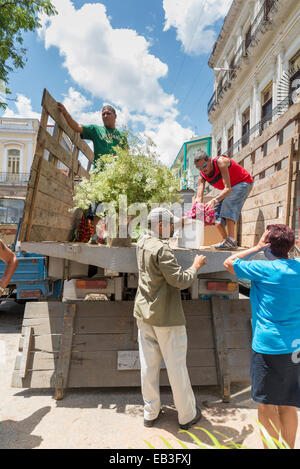 MATANZAS, Kuba - 10. Mai 2014: Lebhafter Straßenmarkt von Blumen und Pflanzen am Tag vor Muttertag. Muttertag feiern Stockfoto