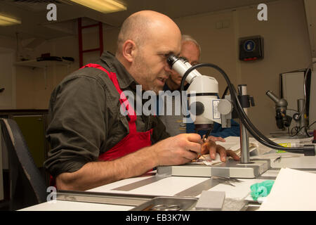 An Bord ist der deutschen Forschung Schiff RV Sonne Adrian Flynn ein Balbo Sabretooth Fisch identifizieren. Stockfoto