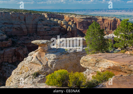 Colorado National Monument in der Nähe von Grand Junction, Colorado Stockfoto