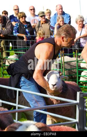 Hirte seine Schafe zeigen. Borrowdale Hirten treffen. Rosthwaite Borrowdale Cumbria England UK. Stockfoto