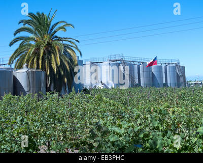 Einige metallische Weingärung Panzer in der Nähe der Weinberge. Weinbau in Chile Stockfoto