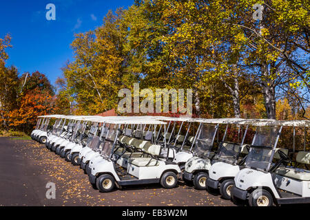Reihen von Golf-Carts mit Laub Herbstfarben im Lutsen Berge Resort am nördlichen Ufer des Lake Superior in der Nähe von Lutsen, MN Stockfoto