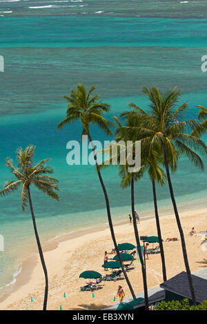 Fort DeRussy Beach und Palm Trees, Waikiki, Honolulu, Oahu, Hawaii, USA Stockfoto