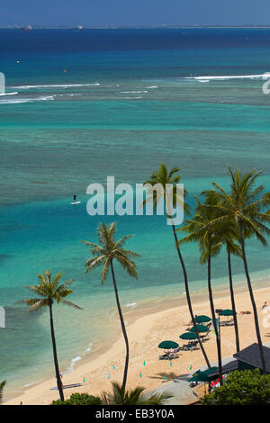 Fort DeRussy Beach und Palm Trees, Waikiki, Honolulu, Oahu, Hawaii, USA Stockfoto