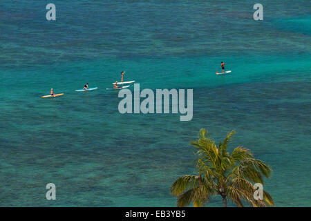 Fort DeRussy Beach, Palmen und aufstehen Paddleboarders, Waikiki, Honolulu, Oahu, Hawaii, USA Stockfoto