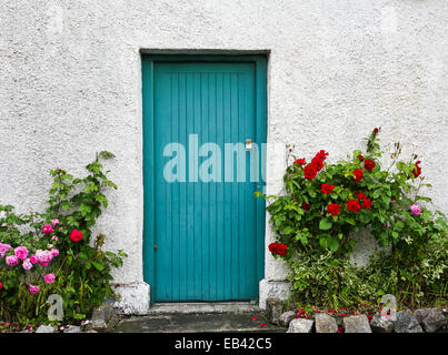 Vintage Aqua blauen Hauseingang und Rosenbusch in einem Garten in Irland, Europa, Türbild, Rosengarten Türschwelle bunte Farbe Stockfoto