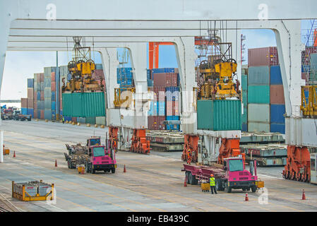 Container-Betrieb im Seehafen Stockfoto