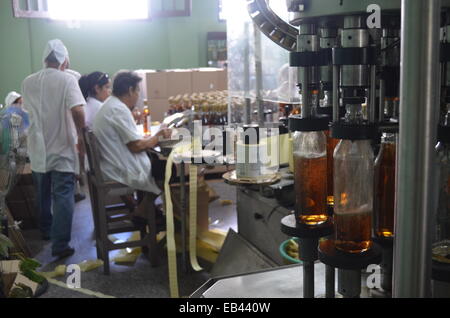 Arbeitnehmer-Label und Pack Flaschen am Ende einer Fertigungsstraße in rum Destillerie in Pinar del Rio, Kuba Stockfoto