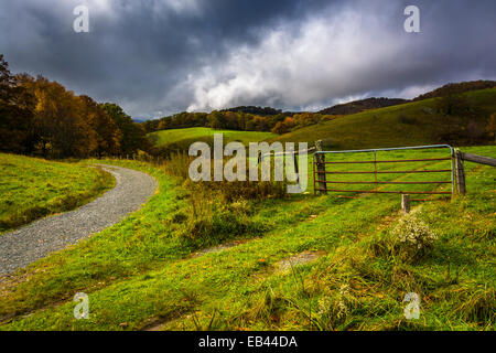 Tor in einem Bauernhof-Feld in Moses Kegel Park, auf der Blue Ridge Parkway in North Carolina. Stockfoto