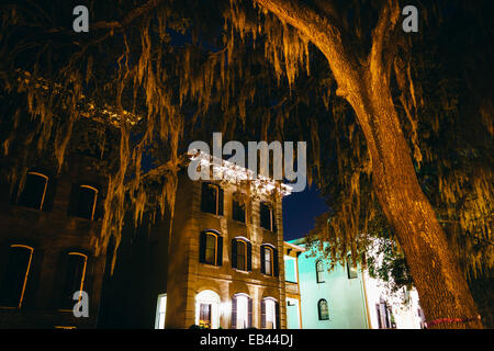 Häuser und überhängenden Eiche Bäume auf Drayton Straße in der Nacht in Savannah, Georgia. Stockfoto