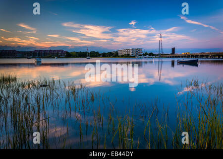 Marsh Gräser in der Dämmerung am Fluss Torheit, in Folly Beach, South Carolina. Stockfoto