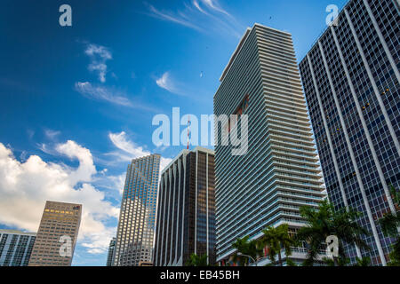 Wolkenkratzer in der Innenstadt von Miami, Florida. Stockfoto