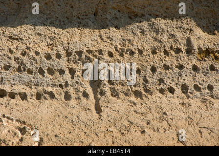 Petroglyphen, Lava Betten Nationaldenkmal, Kalifornien Stockfoto