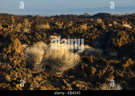 Teufel Homestead Lavastrom, Lava Betten Nationaldenkmal, Kalifornien Stockfoto