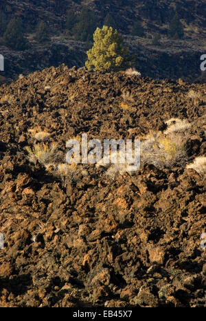 Teufel Homestead Lavastrom, Lava Betten Nationaldenkmal, Kalifornien Stockfoto