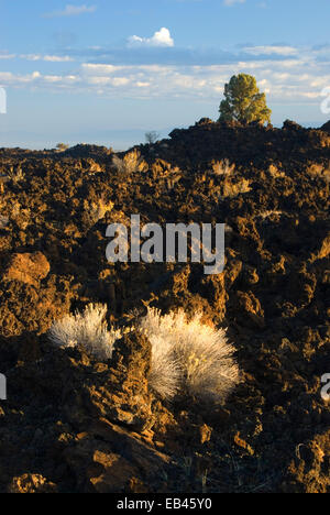 Teufel Homestead Lavastrom, Lava Betten Nationaldenkmal, Kalifornien Stockfoto