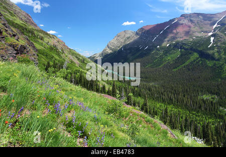 Glacier-Nationalpark in Montana Stockfoto