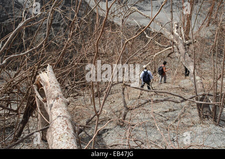 Der Natur neue Landschaft, erstellt durch den Ausbruch des Mount Kelud, füllt ein Meer aus Sand Schluchten Stockfoto