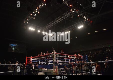 Kanagawa, Japan. 22. November 2014. Yokohama internationale Schwimmbad-Boxen: Einen Überblick über den Ring vor dem WBC Fliegengewicht Titelkampf in Yokohama International Swimming Pool in Kanagawa, Japan. © Hiroaki Yamaguchi/AFLO/Alamy Live-Nachrichten Stockfoto