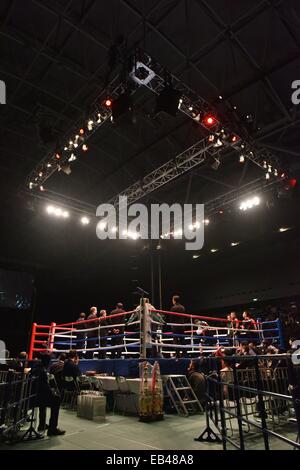 Kanagawa, Japan. 22. November 2014. Yokohama internationale Schwimmbad-Boxen: Einen Überblick über den Ring vor dem WBC Fliegengewicht Titelkampf in Yokohama International Swimming Pool in Kanagawa, Japan. © Hiroaki Yamaguchi/AFLO/Alamy Live-Nachrichten Stockfoto