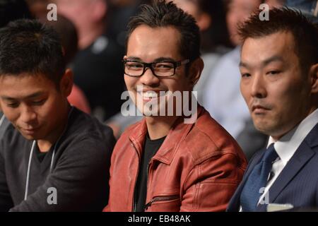 Kanagawa, Japan. 22. November 2014. Nonito Donaire Boxen: Boxer Nonito Donaire besucht die WBC Fliegengewicht Titelkampf in Yokohama International Swimming Pool in Kanagawa, Japan. © Hiroaki Yamaguchi/AFLO/Alamy Live-Nachrichten Stockfoto