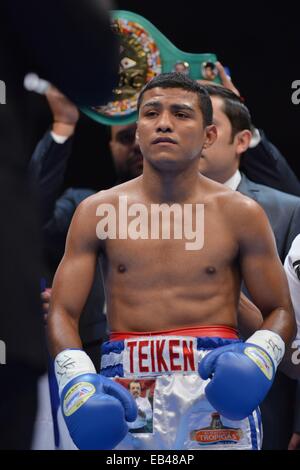 Kanagawa, Japan. 22. November 2014. Römische Gonzalez (NCA) Boxen: Roman Gonzalez aus Nicaragua vor dem WBC Fliegengewicht Titelkampf in Yokohama International Swimming Pool in Kanagawa, Japan. © Hiroaki Yamaguchi/AFLO/Alamy Live-Nachrichten Stockfoto