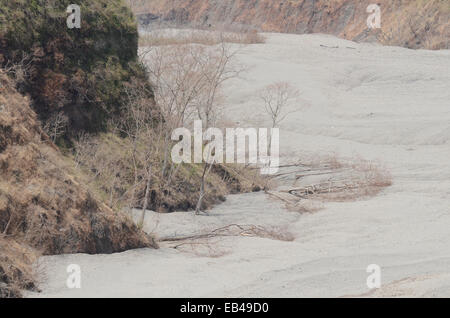 Der Natur neue Landschaft, erstellt durch den Ausbruch des Mount Kelud, füllt ein Meer aus Sand Schluchten Stockfoto