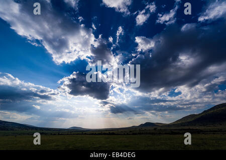 Sonnenstrahlen Hintergrundbeleuchtung und eine Wolkenformation über das Great Rift Valley Savanne schlicht umgeben. Stockfoto