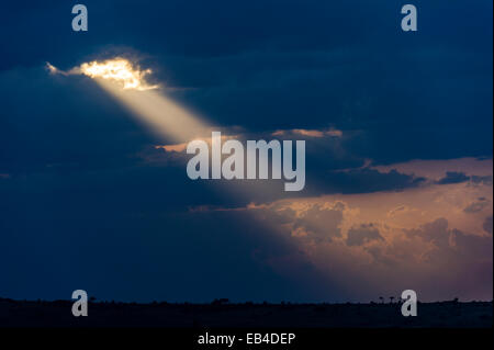 Pastelle Sonnenstrahlen durchdringen Gewitterwolken absteigend in den Horizont bei Sonnenuntergang. Stockfoto