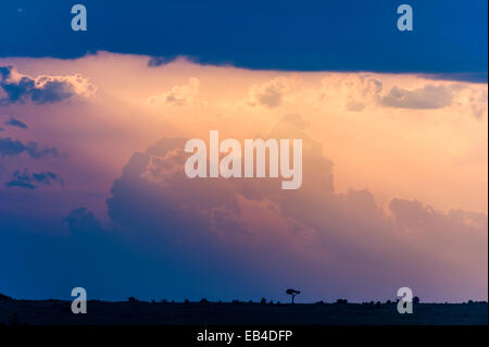 Pastelle Sonnenstrahlen streicheln Gewitterwolken absteigend in den Horizont bei Sonnenuntergang. Stockfoto