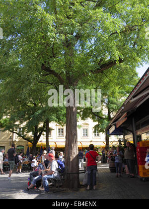 Sandwiches, Fastfood Würstchen essen unter Baum Viktualienmarkt Markt München Deutschland Europa Stockfoto