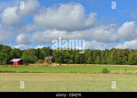 Picturesque rural landscape. Field of wheat in foreground Stockfoto