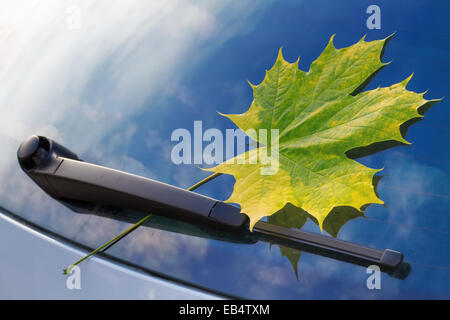 Herbst Blatt auf einer Windschutzscheibe Stockfoto