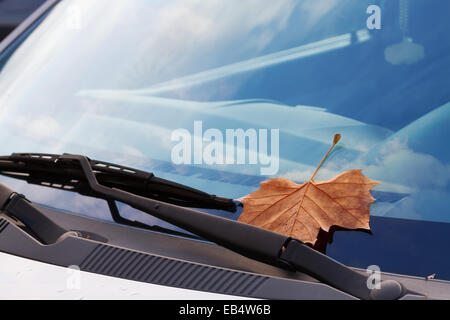 Herbst Blatt auf einer Windschutzscheibe Stockfoto