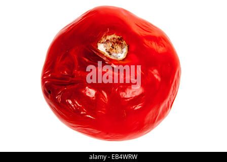 Faule Tomaten auf dem weißen Hintergrund Stockfoto