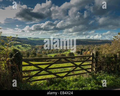 BLICK ÜBER FÜNF VERJÄHRT TOR AUF DEN BLICK VON DER HUDNALLS IN DER NÄHE VON HEWELSFIELD HÄUFIG IN WYE VALLEY GLOUCESTERSHIRE ENGLAND UK Stockfoto