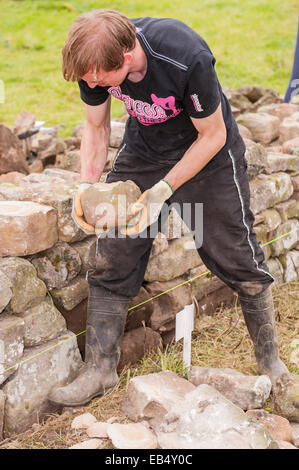 Eine Trockenmauer bauen Wettbewerb auf Reeth, Swaledale in den Yorkshire Dales in Yorkshire, England, Großbritannien, Vereinigtes Königreich Stockfoto