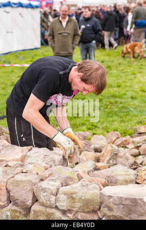 Eine Trockenmauer bauen Wettbewerb auf Reeth, Swaledale in den Yorkshire Dales in Yorkshire, England, Großbritannien, Vereinigtes Königreich Stockfoto