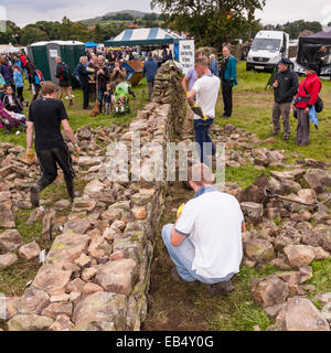 Eine Trockenmauer bauen Wettbewerb auf Reeth, Swaledale in den Yorkshire Dales in Yorkshire, England, Großbritannien, Vereinigtes Königreich Stockfoto