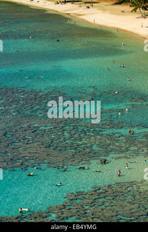Leute Schnorcheln unter Korallenriff bei Hanauma Bay Nature Preserve, Oahu, Hawaii, USA Stockfoto