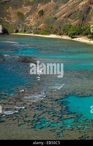 Leute Schnorcheln unter Korallenriff bei Hanauma Bay Nature Preserve, Oahu, Hawaii, USA Stockfoto