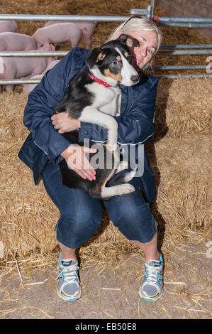 Halten einen Welpen bei Hazel Braue Bauernhof in der Ortschaft Low Zeile im Swaledale, North Yorkshire, England, Großbritannien, Uk Stockfoto