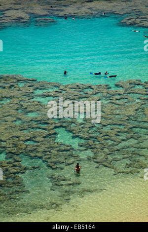 Leute Schnorcheln unter Korallenriff bei Hanauma Bay Nature Preserve, Oahu, Hawaii, USA Stockfoto