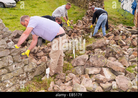 Eine Trockenmauer bauen Wettbewerb auf Reeth, Swaledale in den Yorkshire Dales in Yorkshire, England, Großbritannien, Vereinigtes Königreich Stockfoto