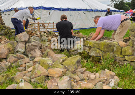 Eine Trockenmauer bauen Wettbewerb auf Reeth, Swaledale in den Yorkshire Dales in Yorkshire, England, Großbritannien, Vereinigtes Königreich Stockfoto