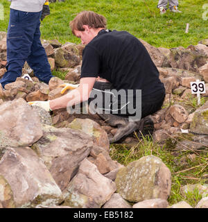 Eine Trockenmauer bauen Wettbewerb auf Reeth, Swaledale in den Yorkshire Dales in Yorkshire, England, Großbritannien, Vereinigtes Königreich Stockfoto