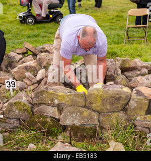 Eine Trockenmauer bauen Wettbewerb auf Reeth, Swaledale in den Yorkshire Dales in Yorkshire, England, Großbritannien, Vereinigtes Königreich Stockfoto